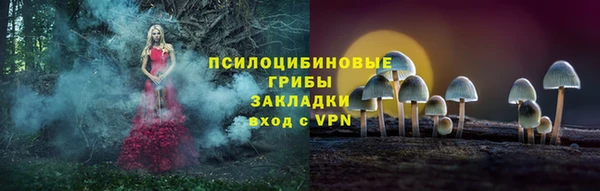 соль курить ск Елизово