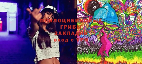 mix Ельня