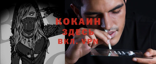 соль курить ск Елизово