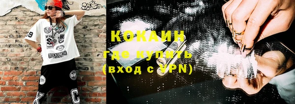 mix Ельня