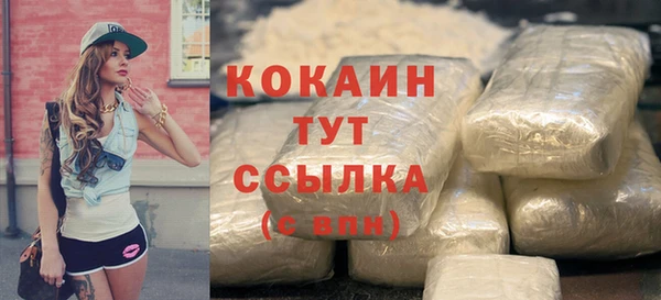 mix Ельня
