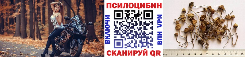 Псилоцибиновые грибы GOLDEN TEACHER  Купить  Катайск 